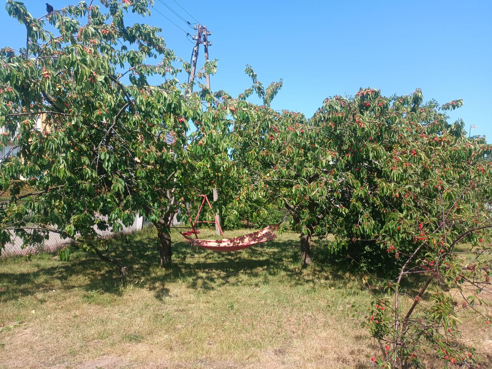 Jastrzębia Góra Pokoje Goscinne Malinowka מראה חיצוני תמונה